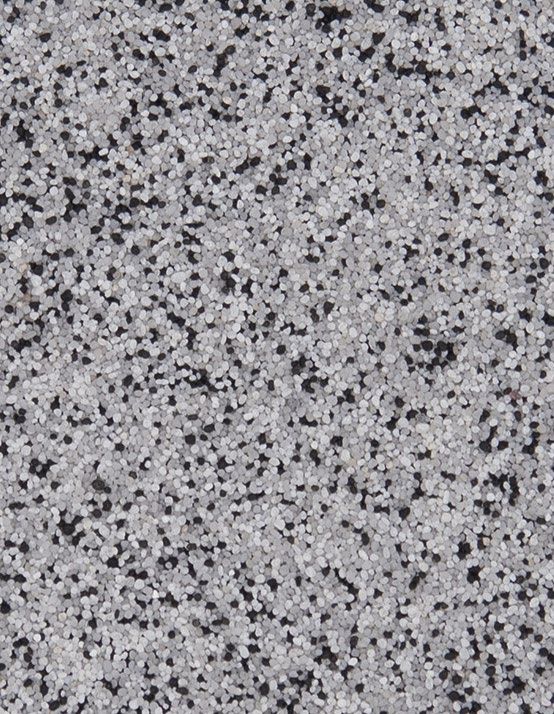 dalmatian