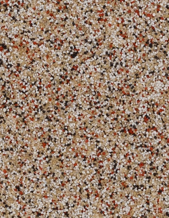 sandpiper