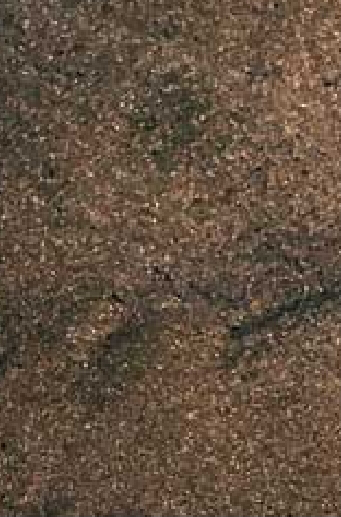 Pigment-brun-profond