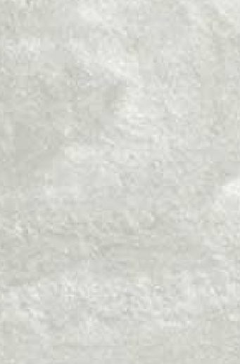 Pigment-metalique-blanc-brillant